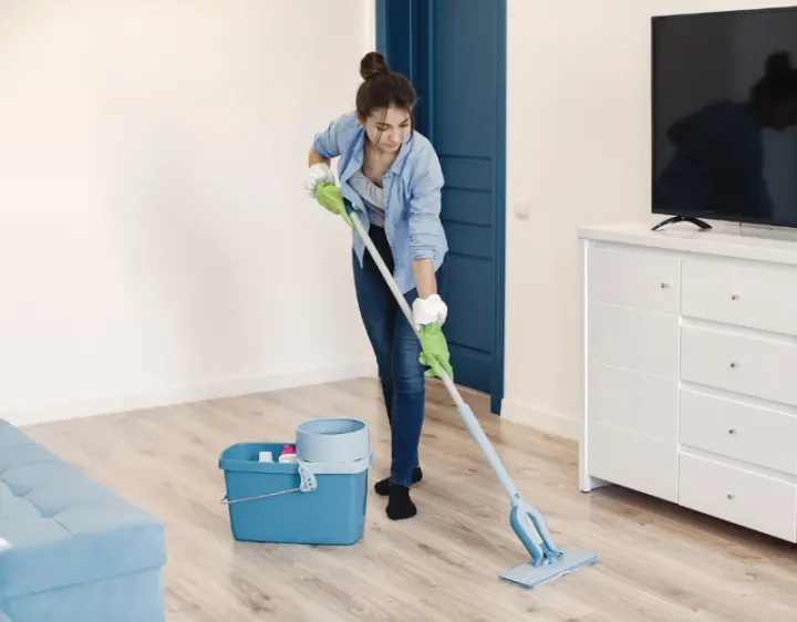 Femme de ménage Pamplie